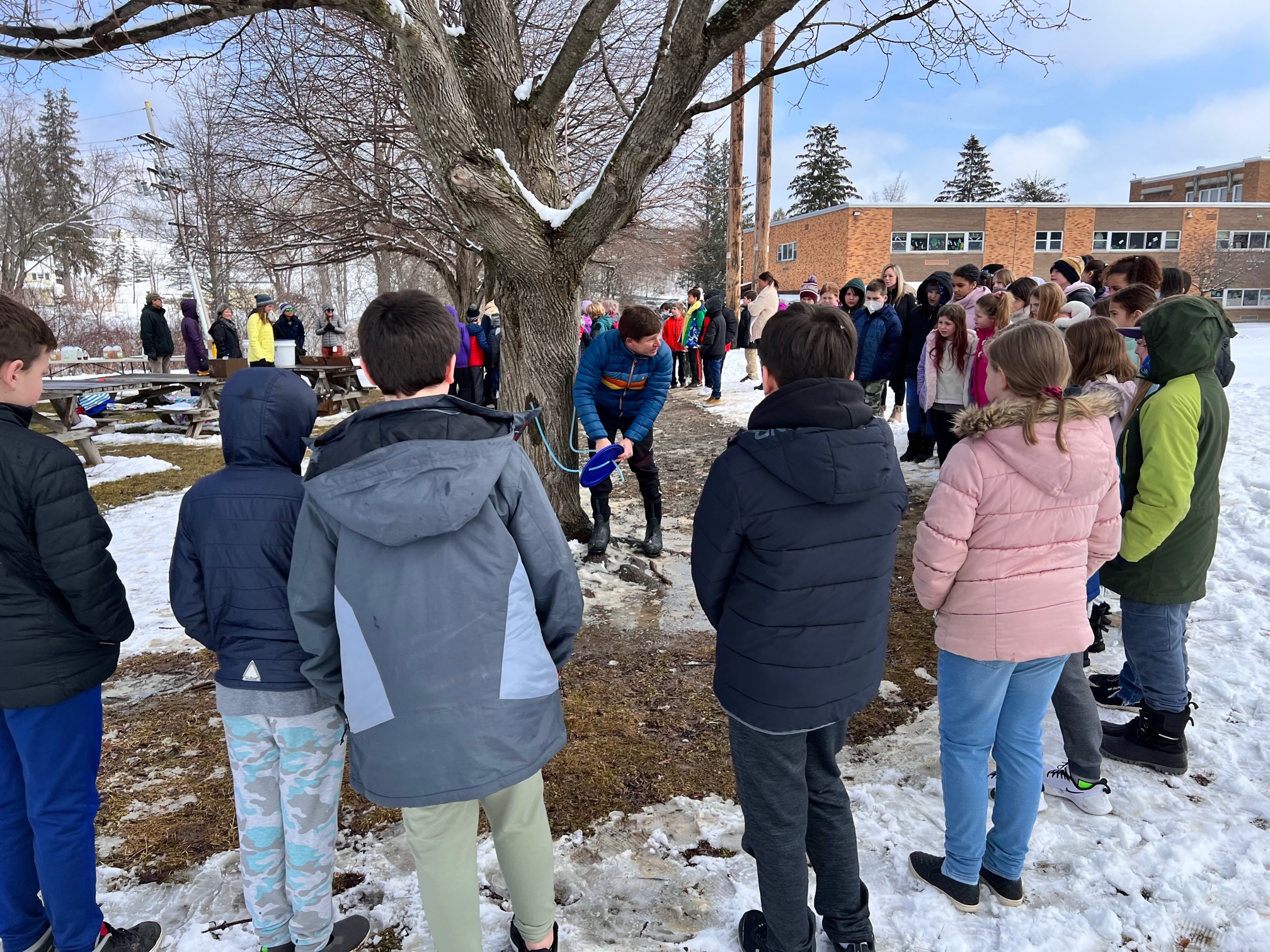 Man shows students how to sap a maple tree