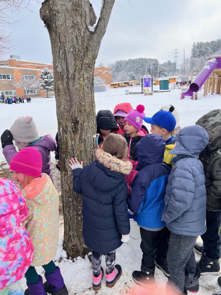 students stand around a tree in colorful winter jackets in a snowy background