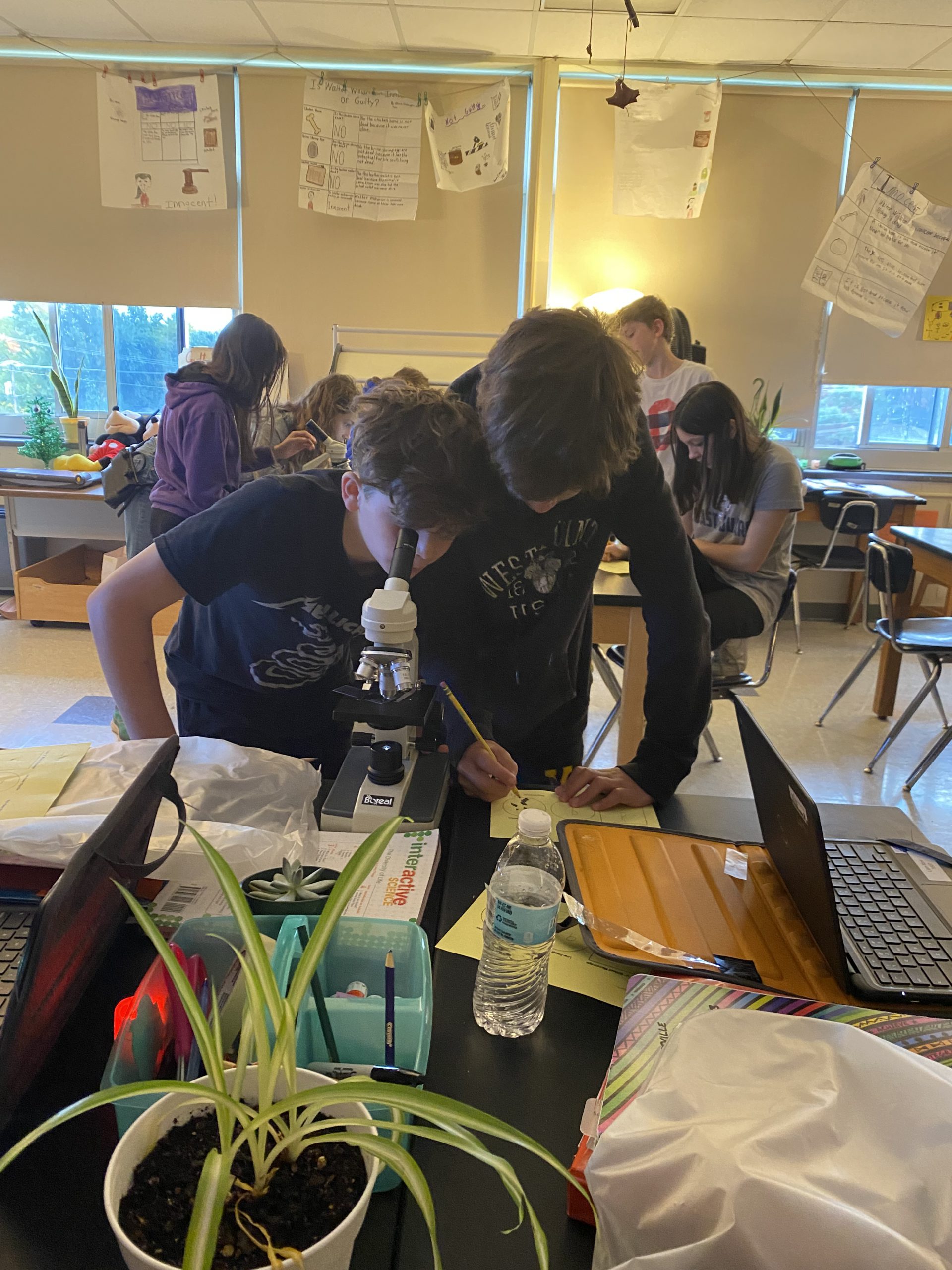 Two grade seven students share a look into a microscope