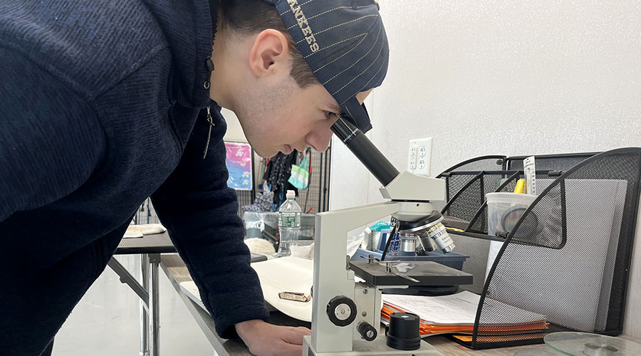 Gabe Perez peers into microscope