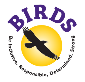 A purple yellow and black logo featuring the words BIRDS, Be Inclusive, Responsible, Determined, Strong