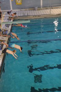 Four students dive into the pool.